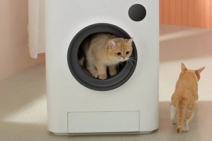 what is the best automatic litter box